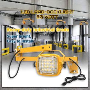 LED-LAAD-DOCK-LAMP-30 WATT