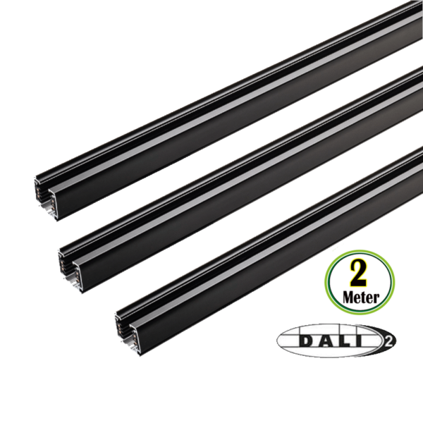 DALI-TRACKRAIL-SWINCKELS-2-