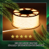 Ledtraco-COB-Led-strip-50M