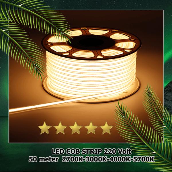 Ledtraco-COB-Led-strip-50M