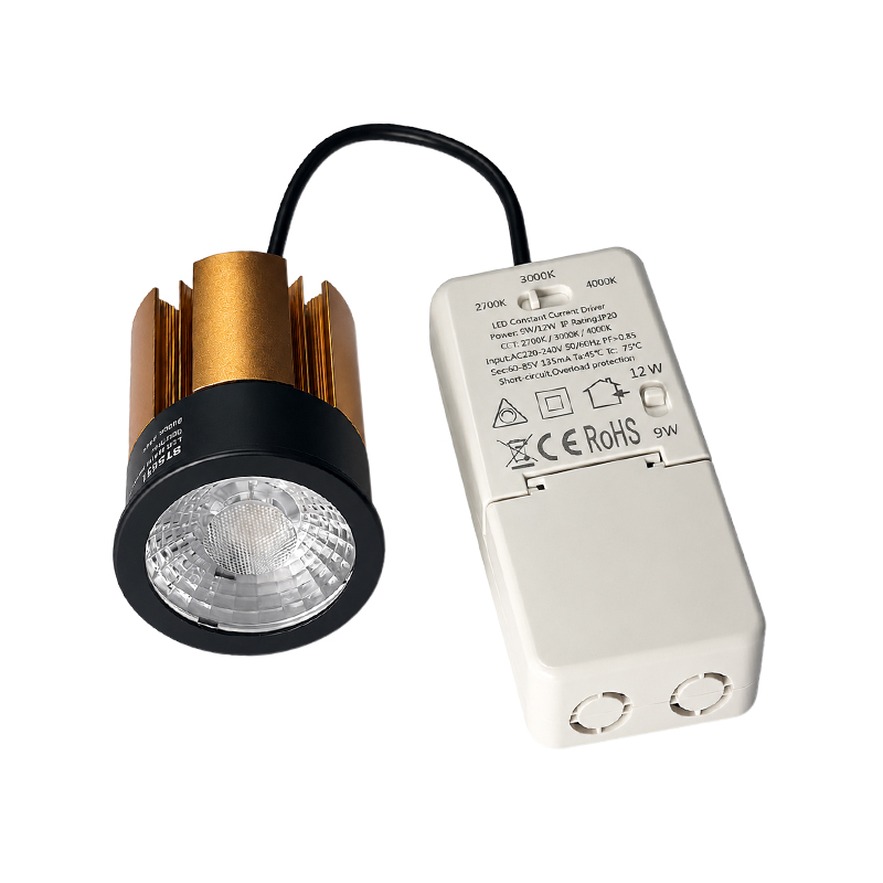 MR16 MODULE HERA | 4W/6W | >98Ra | 38° | CCT-SWITCH